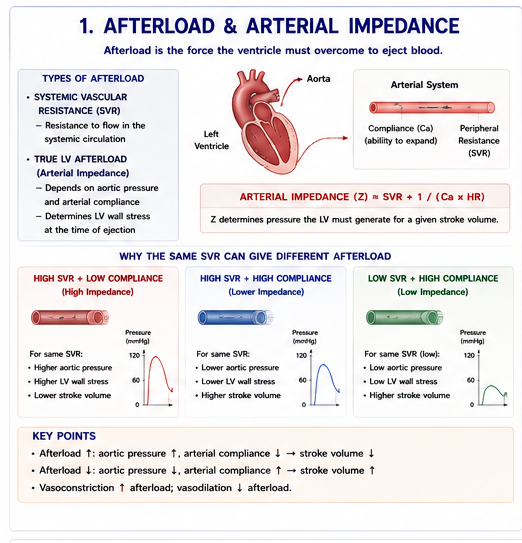 Afterload Arterial Impedance