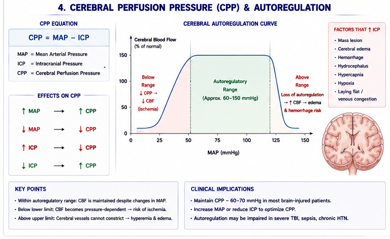 CPP Cerebral Autoregulation