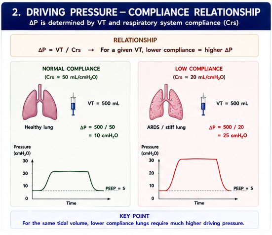 Driving Pressure Compliance Relationship