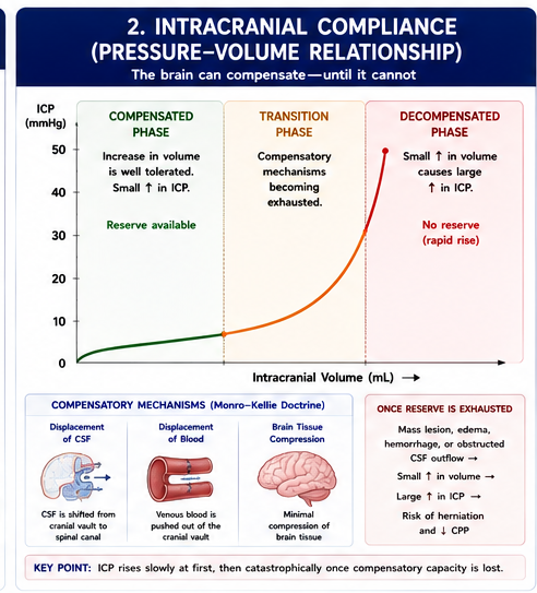 Intracranial Compliance PV Curve