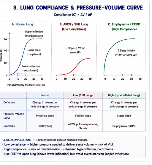 Medical illustration of lung compliance pressure-volume curve showing lower and upper inflection points, safe compliance zone, and overdistension.