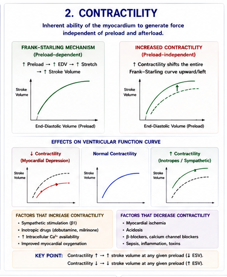 Myocardial Contractility Curves