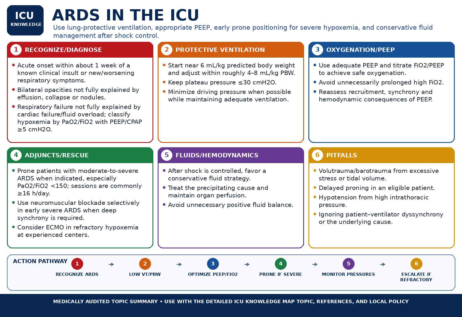 ARDS in the ICU — Audited At-a-Glance Summary