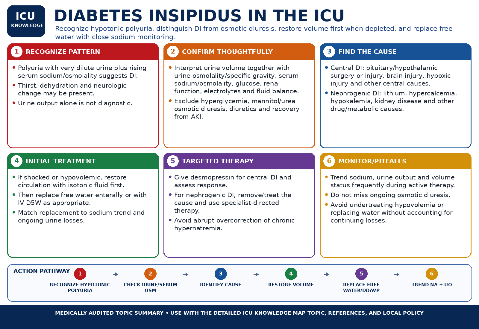 Diabetes Insipidus in the ICU — Audited At-a-Glance Summary