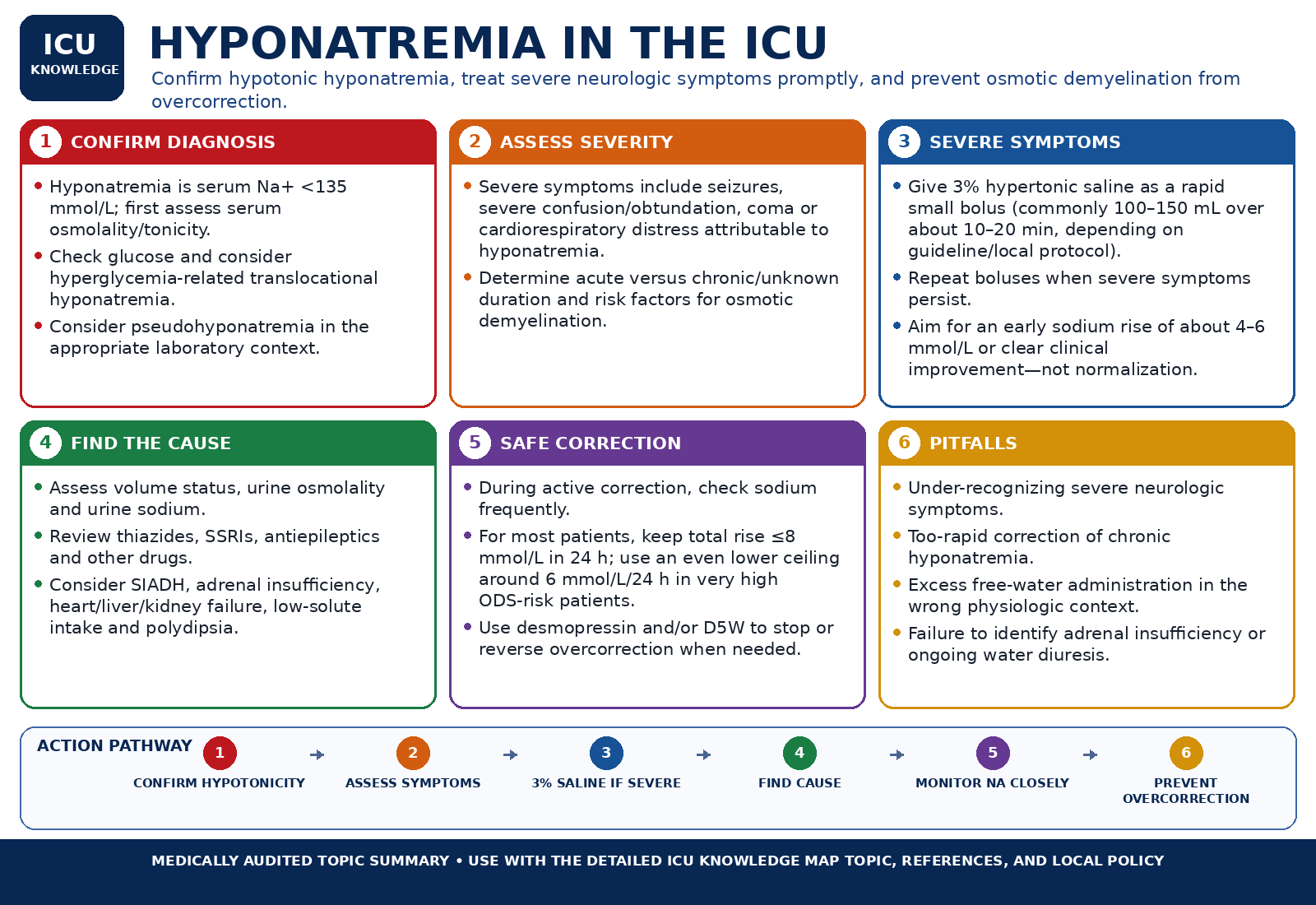Hyponatremia in the ICU — Audited At-a-Glance Summary