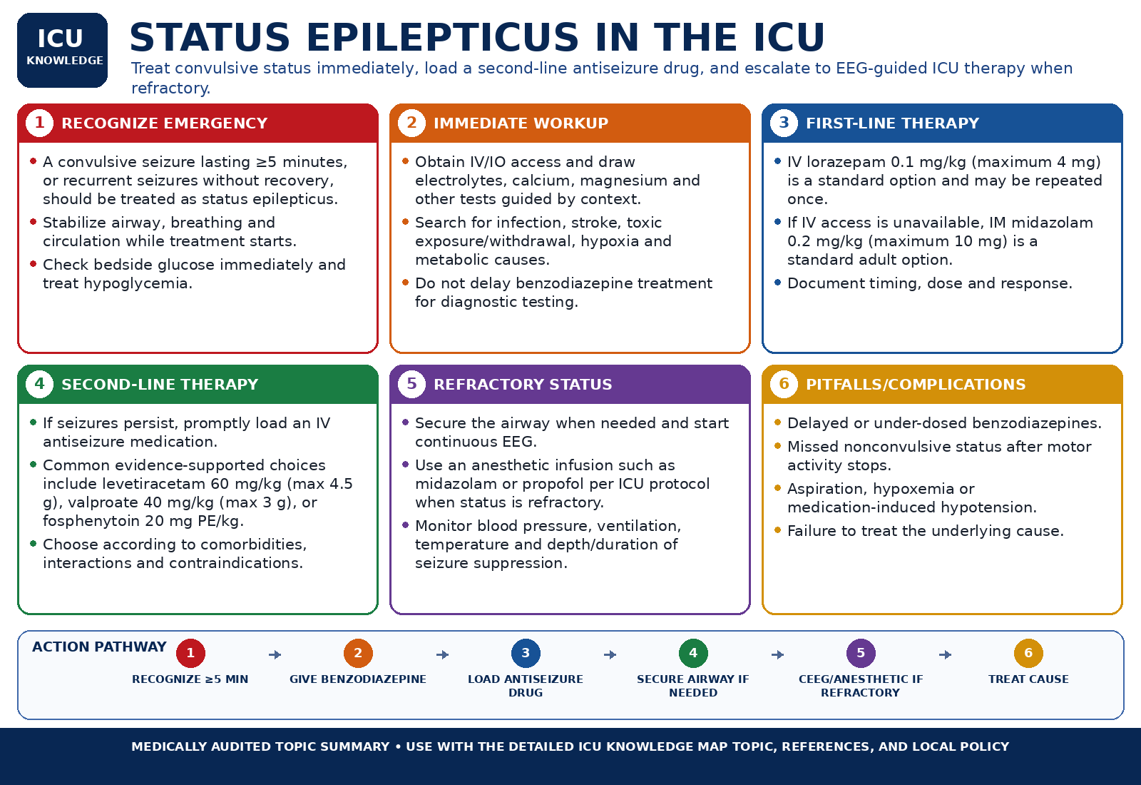 Status Epilepticus in the ICU — Audited At-a-Glance Summary