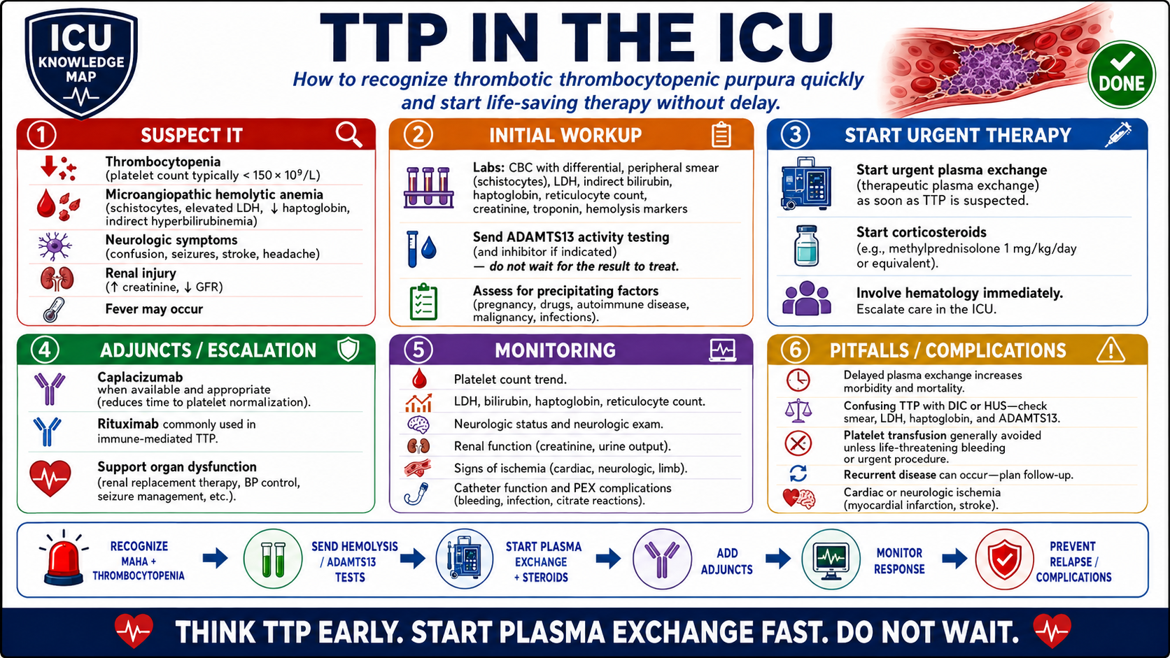 Thrombotic Thrombocytopenic Purpura in the ICU — Audited At-a-Glance Summary
