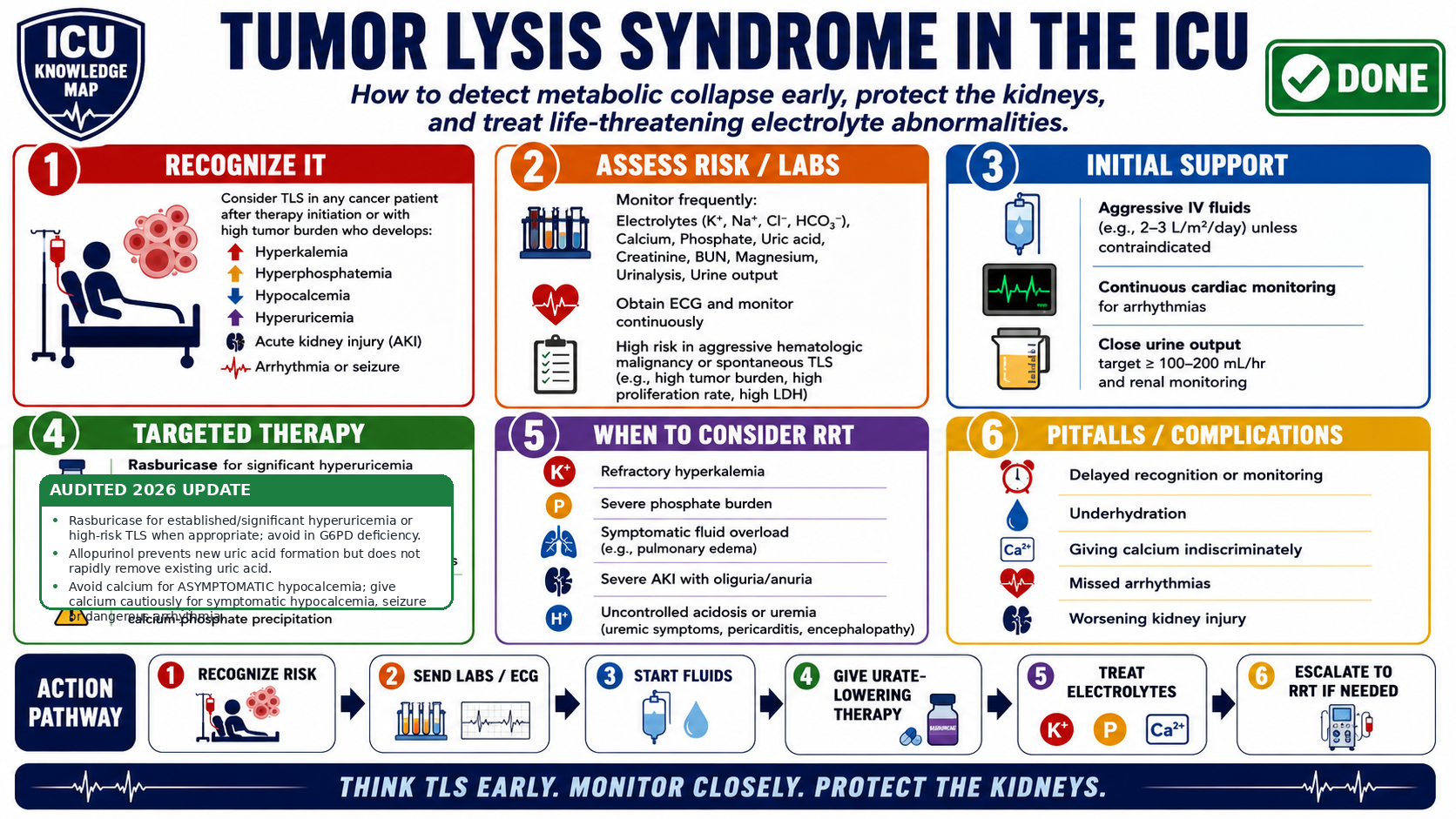 Tumor Lysis Syndrome in the ICU — Audited At-a-Glance Summary