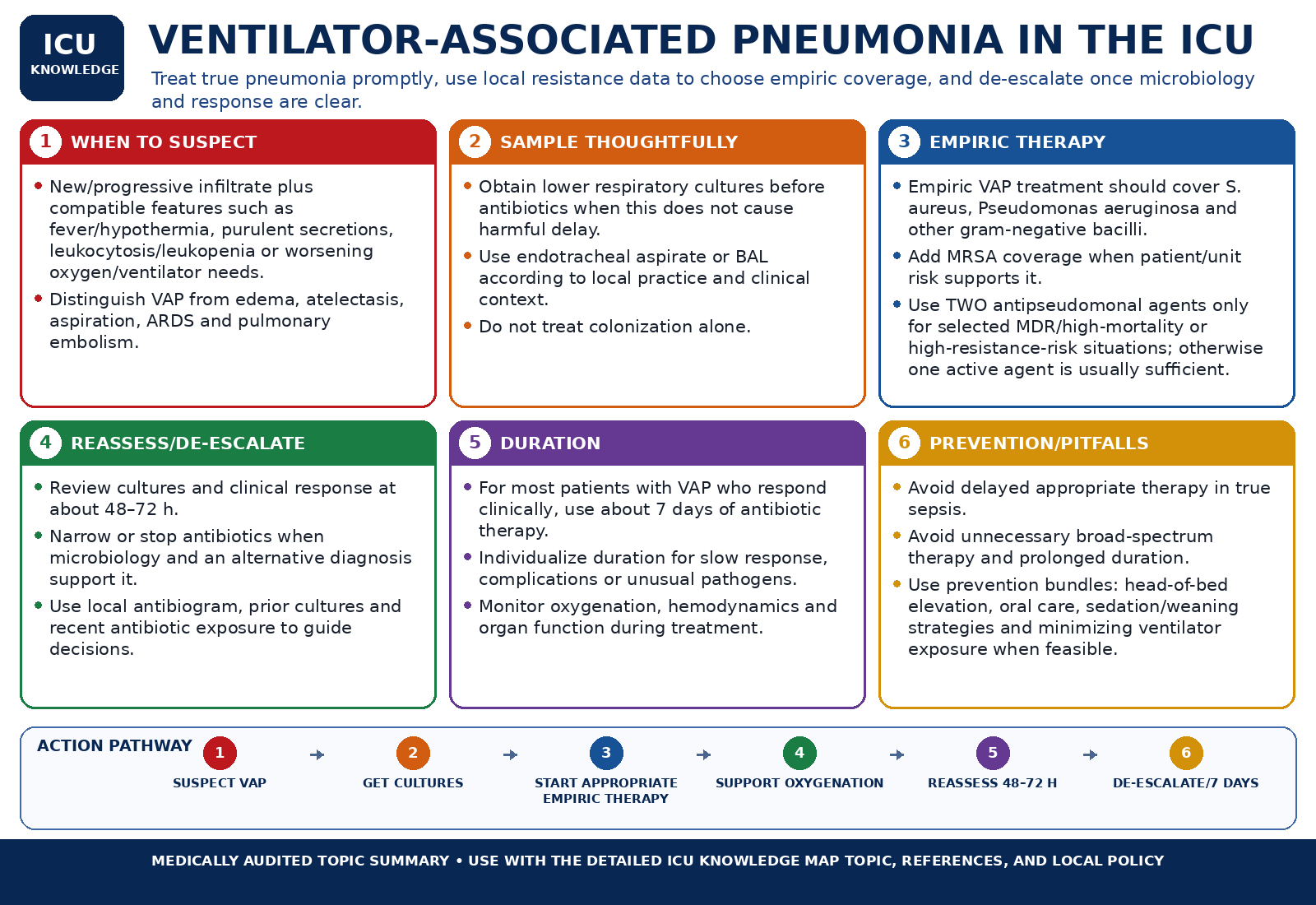 Ventilator-Associated Pneumonia in the ICU — Audited At-a-Glance Summary